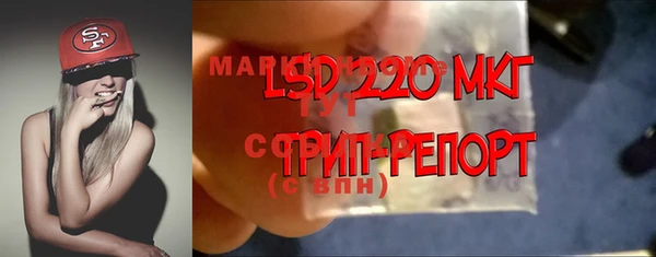 соль ск Михайлов