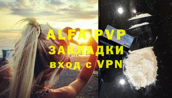 молекула духа Калининец